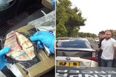 Police make huge cash discovery after stopping vehicle