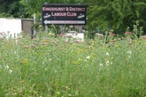 Pictured before and after - Roadsides and roundabouts in Solihull left to grow wild for the bees
