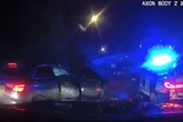 Dangerous driver crashed stolen Audi into tree during 100mph police chase
