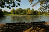 Public urged to 'stay away' from Small Heath Park lake after birds and fish found dead