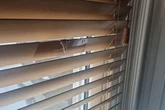 Any UK household with blinds issued warning ahead of heatwave
