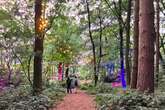 The magical woodland transformed into a family paradise only an hour from Birmingham