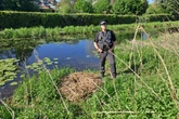 Pair of nesting swans 'unlawfully killed' with air rifle leaving eggs behind