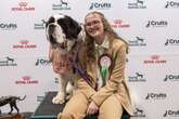 Crufts 2025 Day 4 as winners for Working, Pastoral and Best in Show expected