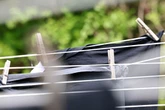 UK households issued warning not to dry clothes on washing lines from Tuesday