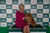 Crufts 2025 cheapest and most expensive dogs you can own - full list of breeds