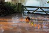 BBC Gardeners' World star Monty Don shares 'devastating' flooding at his home as fans say 'time to move'