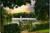 The hidden wildflower 'beauty spot' with play area, lake, cafe and 'stunning' meadows