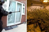 County lines police smash down doors, make arrests and seize drugs in dramatic video