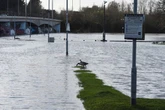 Noise and disruption alert as town's flood defences must be raised by nearly a metre