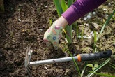 Alan Titchmarsh fans say this simple gardening mistake could prevent a 'beautiful' bloom
