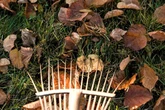 Simple way to revive your lawn after the hot summer - and it only takes a few minutes