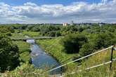 I found a 'magical' hidden oasis between the M5 and M6 and could spend all day there