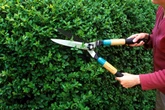 Gardeners urged to think twice before reaching for the shears this May
