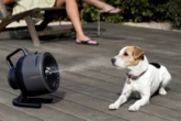 Shark's 'game-changing' misting fan that's 'small but mighty' now less than £100