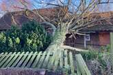 Parishioners told 'please pray' after tree falls onto Staffordshire church as Storm Darragh hits UK