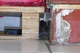 Indian restaurant fined £10k after rat found in storeroom