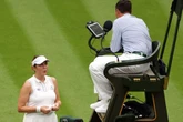 Anastasia Pavlyuchenkova fumes 'you took the game away' over Wimbledon Centre Court error