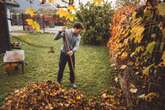 Gardening jobs to get done before the clocks change in October