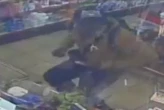 Watch: Police hunting man who danced into Birmingham shop