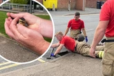 Pictures show Worcester firefighters rescuing ducklings from storm drain