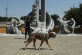 UK tourist dies of rabies after 'being bitten' in Morocco