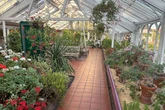 8 photos showing inside one of Birmingham's oldest and most beautiful attractions