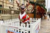 Birmingham has a new free Christmas trail for 2024 and this year it's reindeer themed