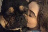 My dog died of heatstroke after doggy daycare staff made awful common mistake