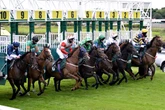 Jason Heavey's top Tuesday horse racing tips – 'he's won there four times'