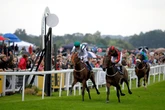Course and distance specialist to do it again at Ripon - Daily Star's Tuesday tips