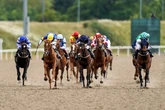 Angel with a message is the Daily Star's tipping expert’s main selection at Chelmsford on Thursday