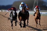 All-weather specialist can upset the odds at Kempton Park says Daily Star's horse racing expert