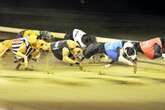 Free Greyhound racing tickets to give away with Arena Racing Company