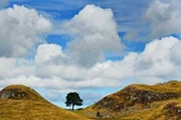 UK weather to hit 26C by Tuesday with July 'heatwave' days later