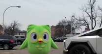 Duolingo releases harrowing 'footage of murder' after green owl mascot 'killed'