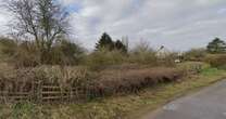 Lost train station that is now completely covered by bushes - but could see trains againRailways