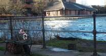 Tiny strip of water where people try to catch the elusive fish ‘as big as a seven-year-old’