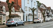 Fury as council 'butchers' more than 20 historic trees to save money