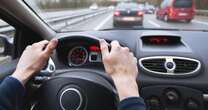 Drivers warned to keep conkers in their cars - or they could face a £2,500 fine