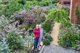 Pensioners face £1k 'witch hunt' if they don't rip up garden plants