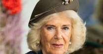 Queen Camilla's son sets record straight on reputation that's plagued her