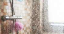 Your shower screens will be sparkling - with no vinegar - if you use 25p itemCleaning