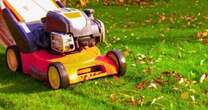 Three easy jobs gardeners need to do now to make their lawns grow thickerGardening