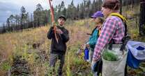 Volunteers help seedlings take root as New Mexico attempts to recover from historic wildfirePublic services