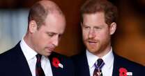 Prince Harry 'gets millions in birthday boost' - and why payout dwarfs Prince William'sPrince Harry