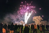 'Killjoy' councils spark fury over Bonfire night firework ban in favour of silent rockets