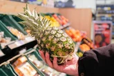 People just realising pineapples have 'hidden meaning' and it's rather rude