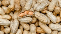 Allergie: Bluttest könnte Wirksamkeit von Erdnuss-Therapie vorhersagen