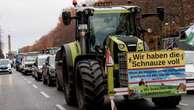 Verbände distanzierten sich Rechte Populisten rufen zu „Bauernprotest“ in Berlin auf